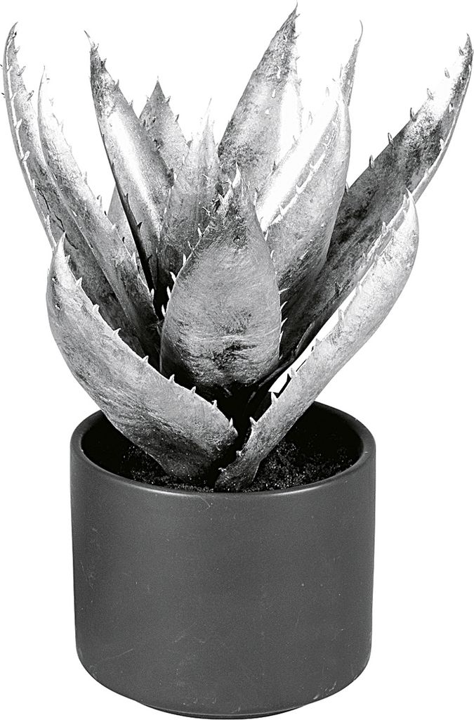 EK Agave im Keramiktopf 27 cm