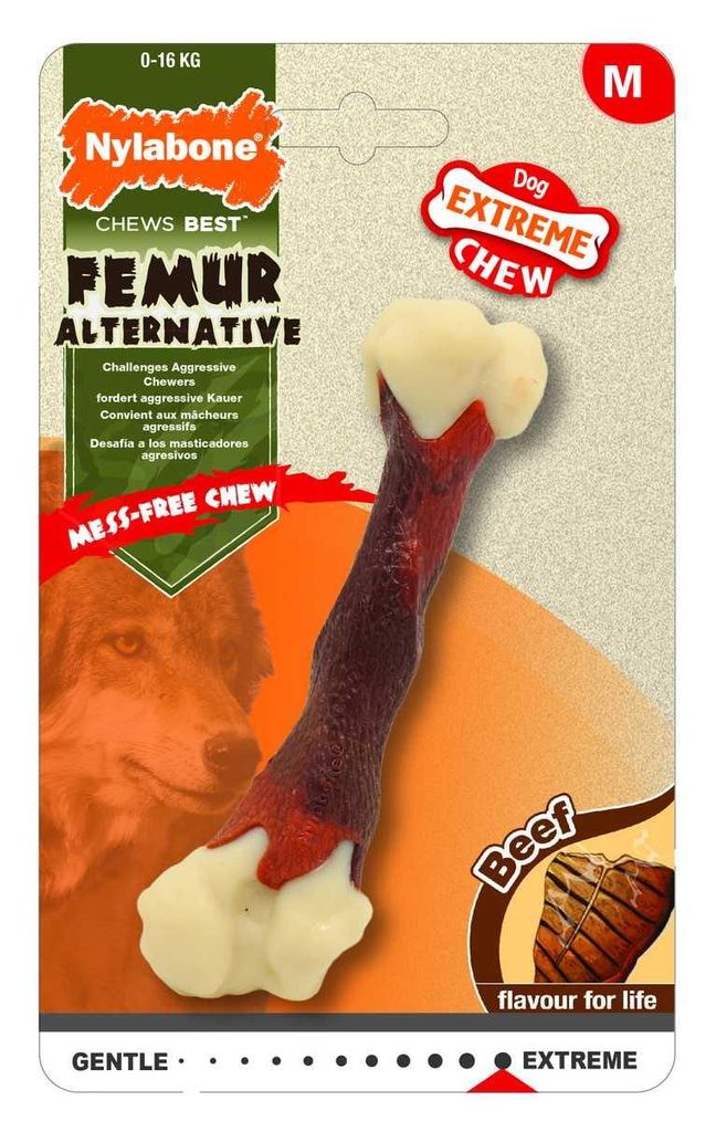Nylabone Nl Femur M (mittlerer Femur) Produktbild 