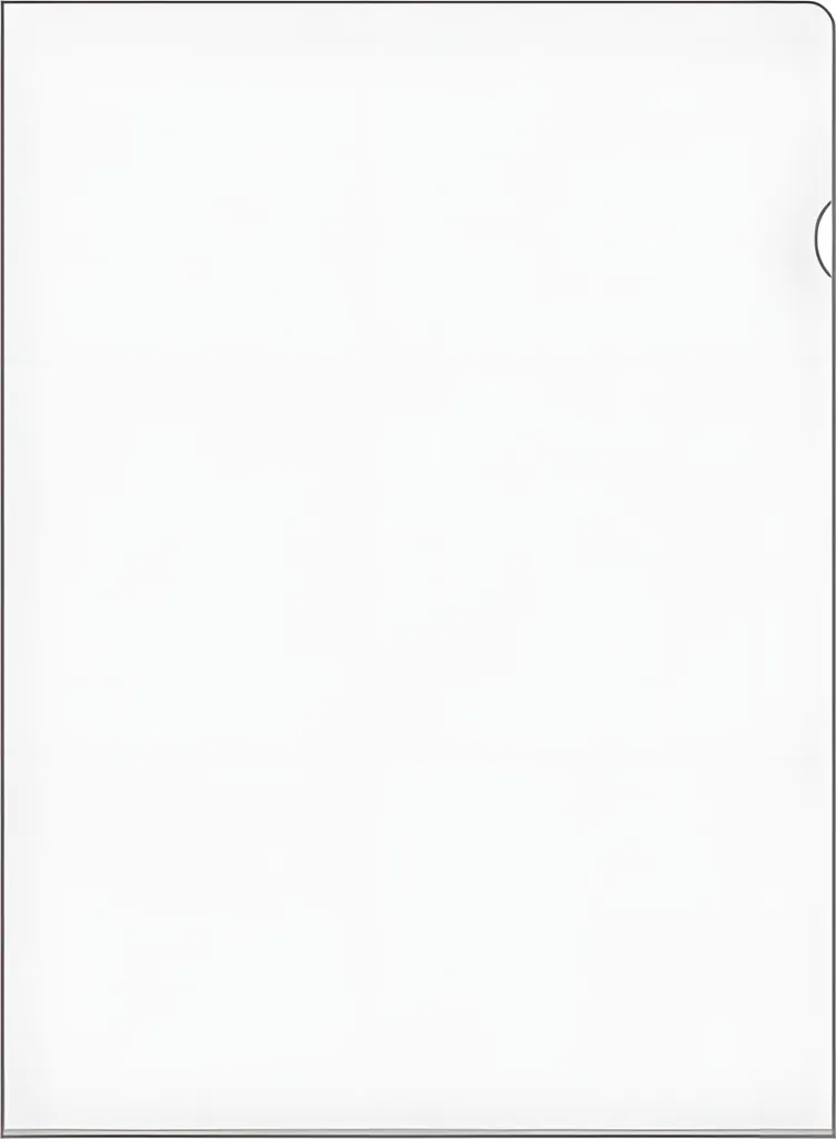 Fini les Documents Cornés : Chemise A4 Veloflex PVC Rigide 150 my x100
