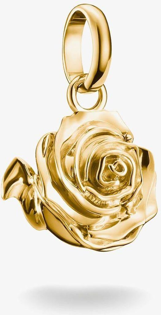 Thomas Sabo Charm Club Connect CC1263-413-39 Charm Anhänger Produktbild 