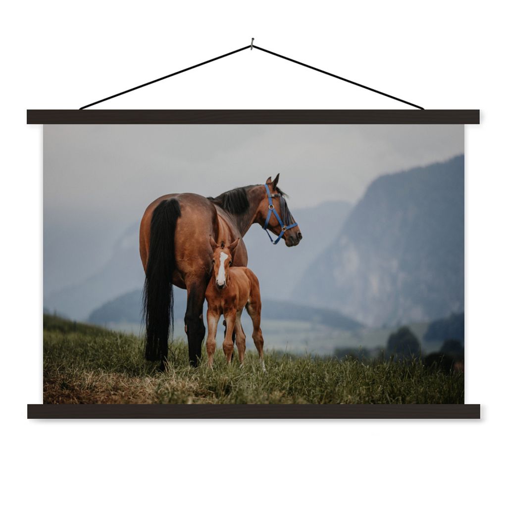 MuchoWow Textilposter Pferd - Fohlen - Berg 90x60 cm mit schwarzem Rahmen - Aufhängungssatz