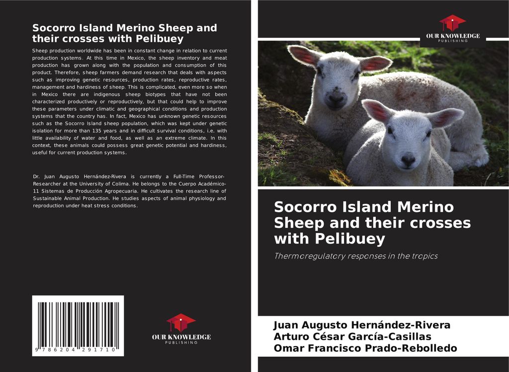 Socorro Island Merino Sheep and their crosses with Pelibuey