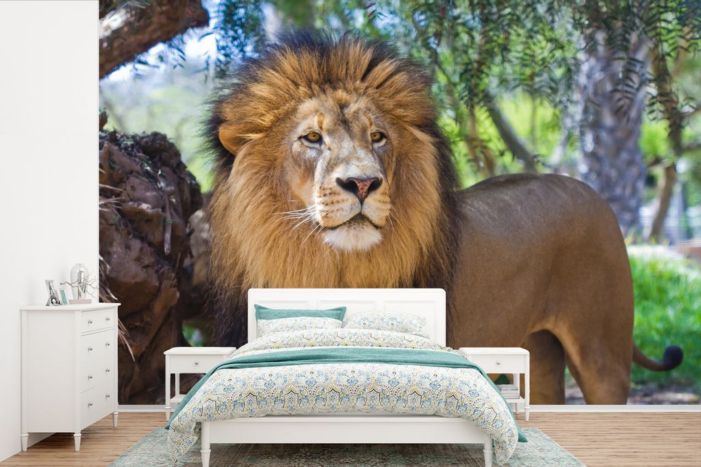 MuchoWow Fototapete für Wohnzimmer oder Schlafzimmer Wandtapete Vinyl Motivtapete Löwe - Natur - Tier - 330x220 cm - Fototapeten