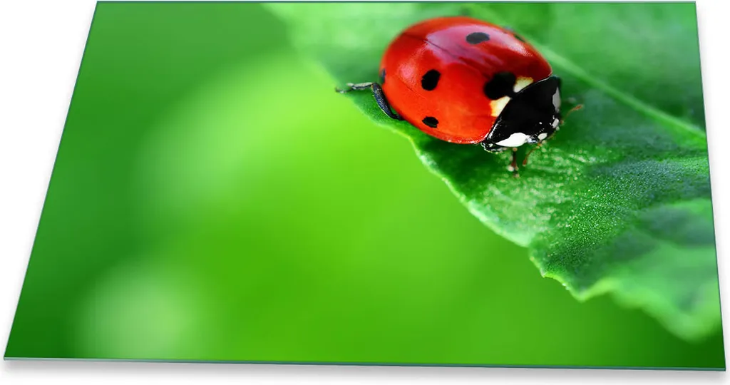 Tagliere Vetro 80x52 Verde Naturale - Upgrade Cucina Moderna