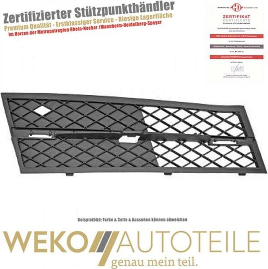 Lüftungsgitter Stoßstange links DIEDERICHS 1225047 für BMW