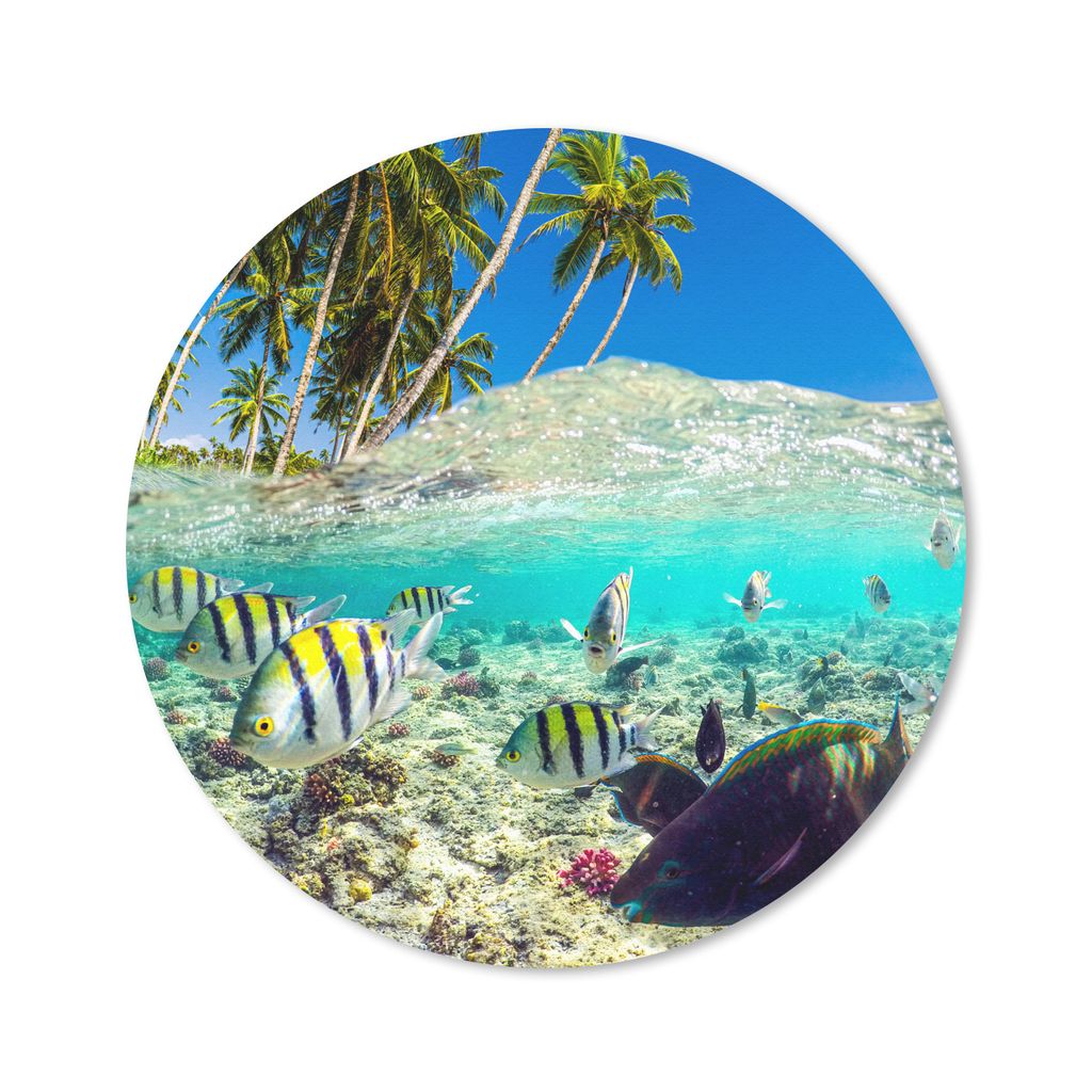 MuchoWow Mauspad Mousepad Meer - Fische - Korallen 40x40 cm - Mousepads - Maus Mat - Pad - Mausunterlage - Schreibtisch Accessoires