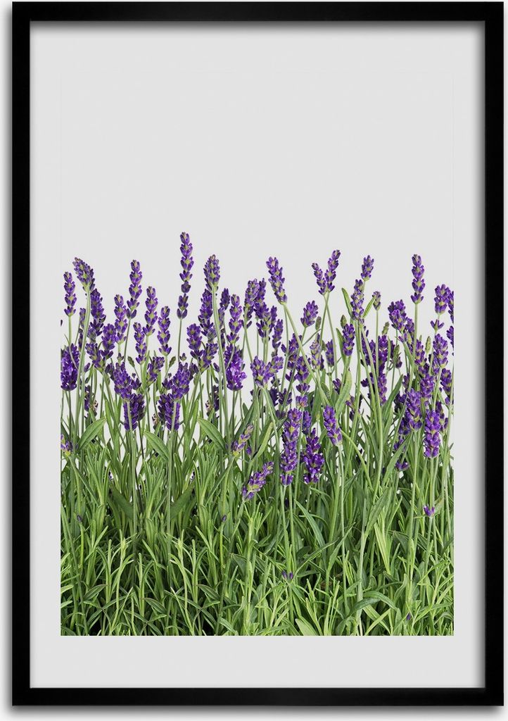 Bild - Bilderrahmen - 50 cm x 70 cm - MDF - Rahmen - Wandkunst Lavendelfeld