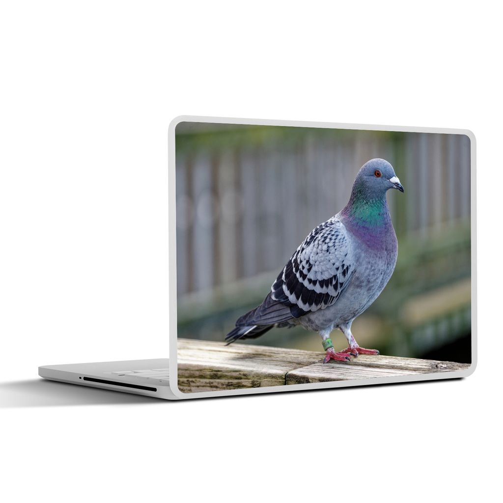 MuchoWow Laptop Aufkleber Sticker Cover Taube - Vogel - Lila - Federn 40x30 cm - Laptop Dekoration - Selbstklebend