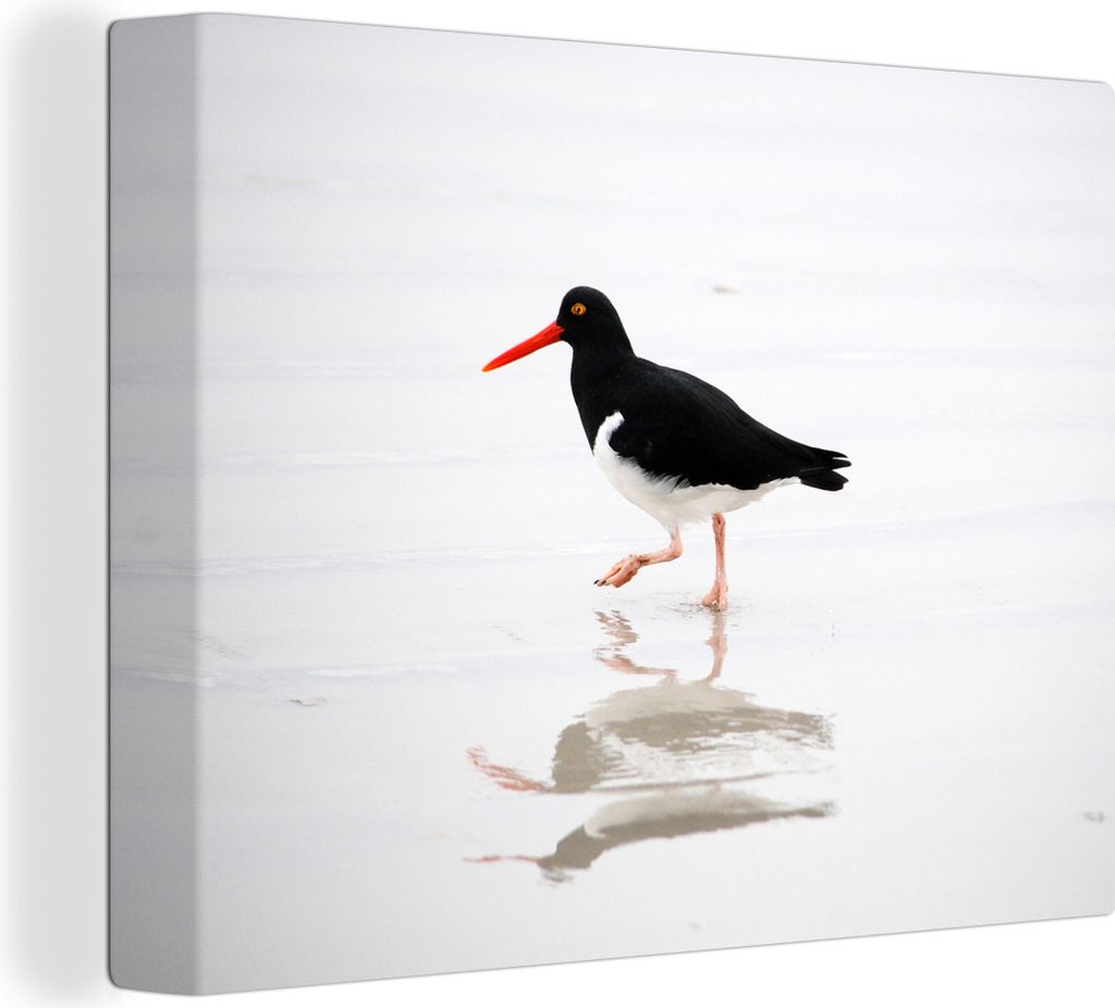 MuchoWow - Leinwandbilder - Austernfischer spiegelt sich im Wasser, Wandbild, Wanddeko Bilder Wohnzimmer, 40x30 cm