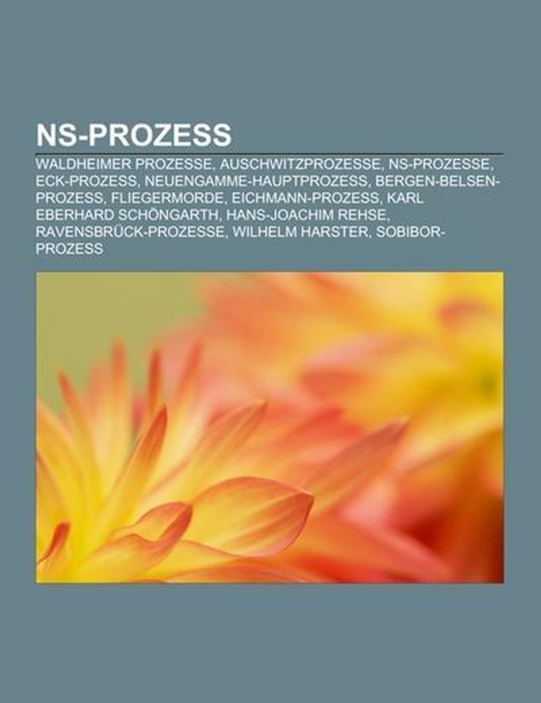 NS-Prozess