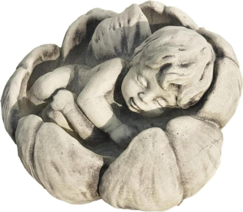 Schöner Sprössling Seerose Steinguss Neu Frostfest Witterungsbeständig V-114443