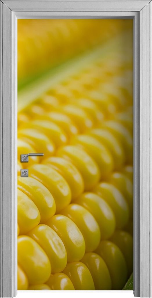 Tür Selbstklebende 90x210 cm Türfolie Türtapete Klebefolie - Gemüse Maiskolben