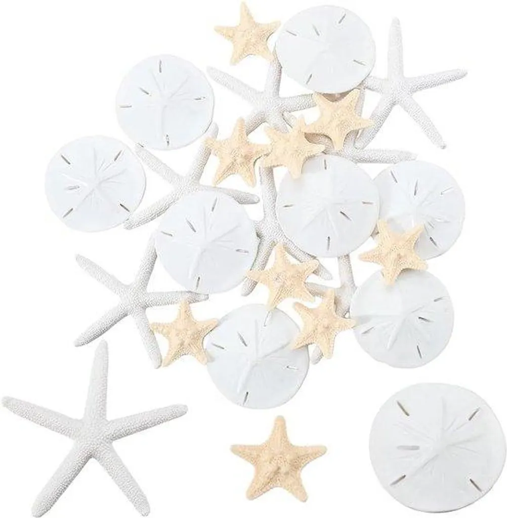 Étoiles de mer blanches x24 - Décoration de table thème mer et été