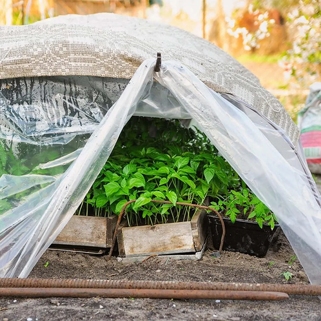 Bâche de serre 2x10m robuste et réutilisable pour conditions extrêmes