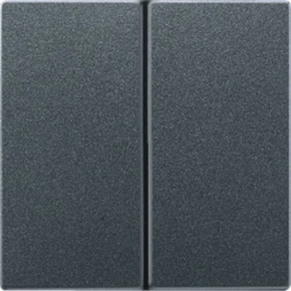 Rénovation Électrique : Jung AL 2995 AN Interrupteur Anthracite Durable