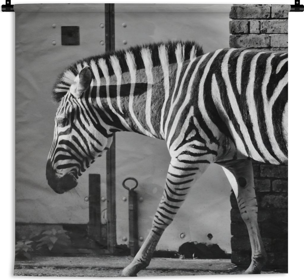 MuchoWow Wandteppich Wandbehang Zebra - Wand - Tür - Tiere - Schwarz und weiß 150x150 cm Tapisserie Dekoration Wandtuch - Wohnaccessoires - Mod...
