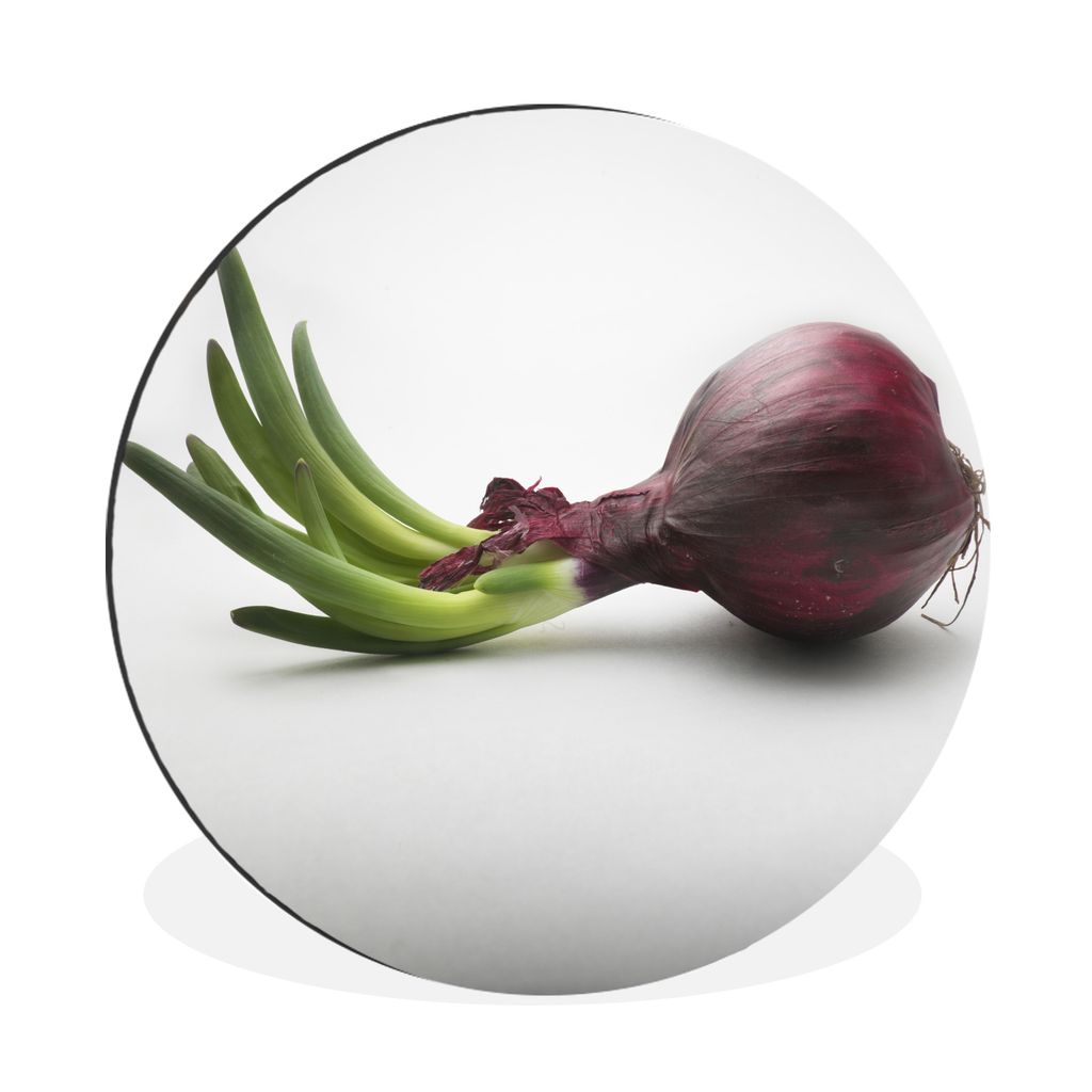 MuchoWow Aluminium Wandkreis Grüner Stängel entspringt einer blühenden roten Zwiebel Ø 90 cm Wanddeko Modern Wohnzimmer - Mauerkreis - Wandbi...