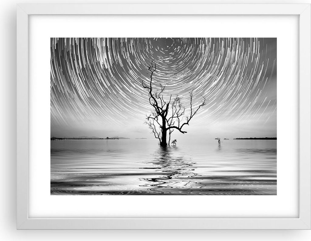 Gerahmtes Poster - Weißer Rahmen - Schwarzweiß Baum See - 40x30 cm - Wand Bild - Wanddeko - Wandbilder - Kunstposter - Wandposter - Bilderrahmen ...