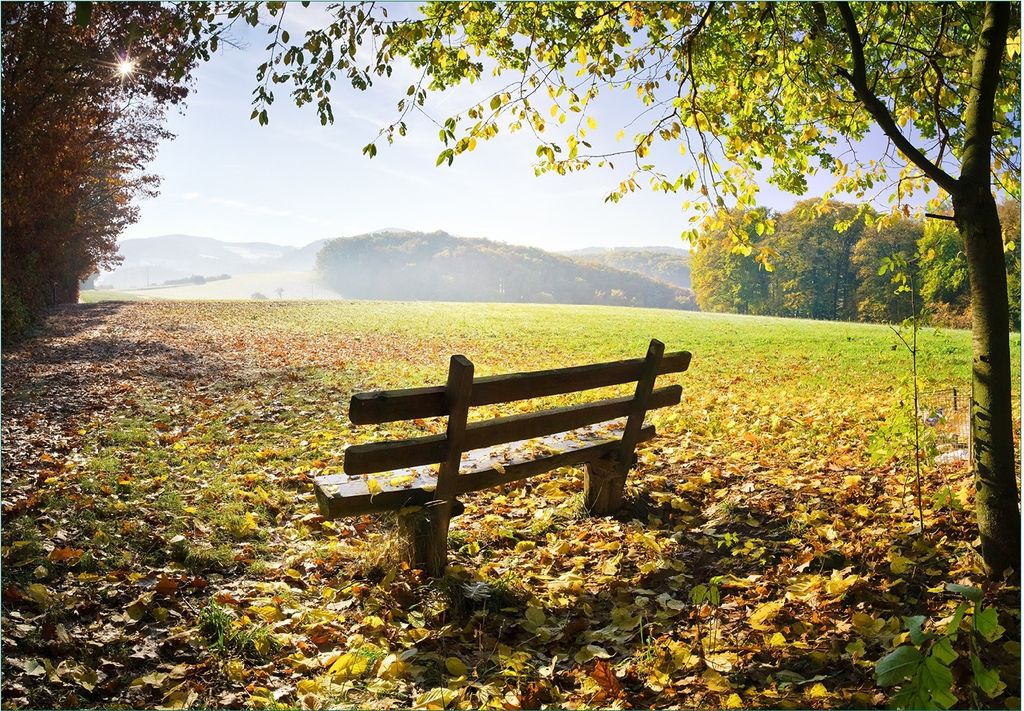 Wallario Fototapete Vliestapete, seidenmatte Oberfläche, einfache Verarbeitung, Größe 300 x 210 cm, Motiv Idyllische Holzbank in den Bergen