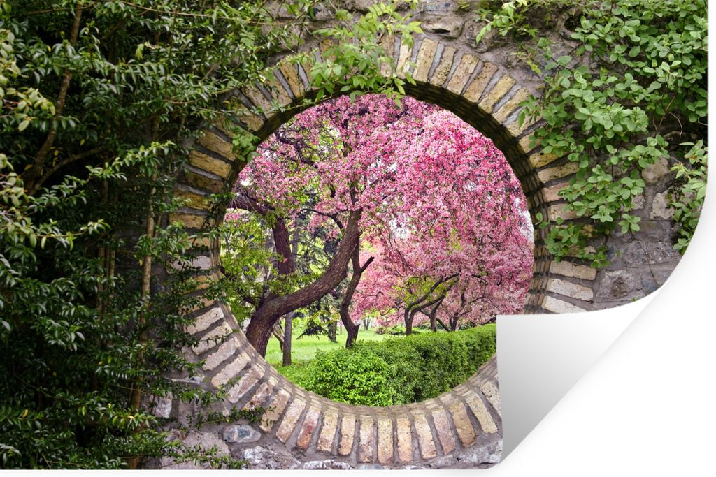 MuchoWow Wandtattoo Wandsticker Wandaufkleber Transparent - Sakura - Blüte - Japanisch 30x20 cm Selbstklebend und Repositionierbar - Wierderverw...