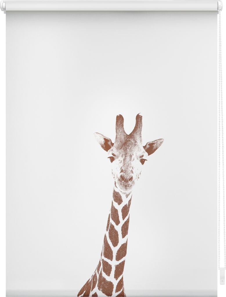 Lichtblick Rollo Klemmfix, ohne Bohren, blickdicht, Giraffe - Braun 80 x 150 cm (B x L)