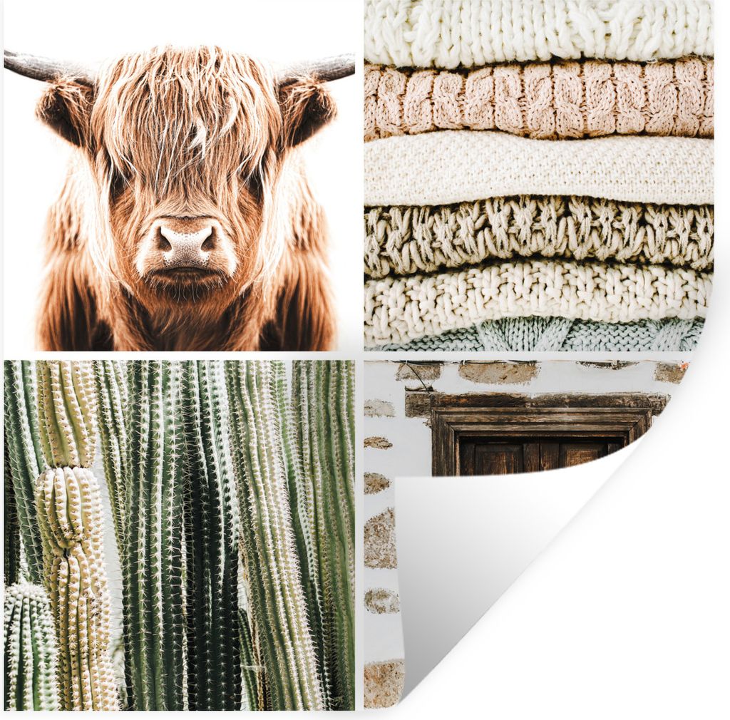 MuchoWow Wandtattoo Wandsticker Wandaufkleber Schottischer Highlander - Kaktus - Holz 30x30 cm Selbstklebend und Repositionierbar - Repositionier...