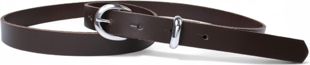 FRONHOFER schmaler Damen Ledergürtel 2 cm Gürtelschnalle+ Schlaufe silber glänzend