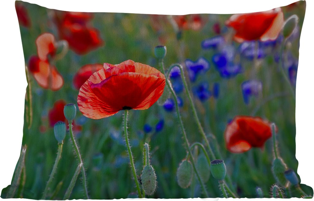 MuchoWow Outdoor Kissen - Bunte Mohnblumen in den Niederlanden - 60x40 cm - Wetterfest - Lounge Kissen - Zierkissen - Kissen für Innenräume