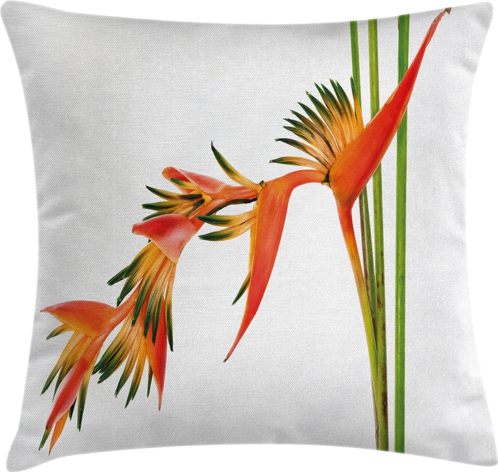 ABAKUHAUS Blumen Kissenbezug, Exotische tropische Blumen auf Zweig bunter Natur-Dschungel-Garten-Thema-Bild-Druck, 50 x 50 cm, Orange Grün