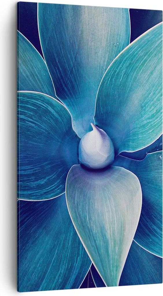 Bild auf Leinwand - Leinwandbild - Einteilig - Agave Blau Blume - 45x80cm - Wand Bild - Wanddeko - Wandbilder - Leinwanddruck - Bilder - Wanddekora...