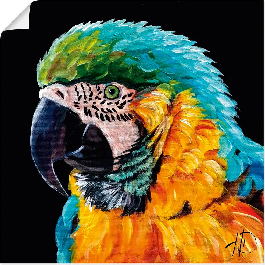 ARTland Poster Farbenpracht im Federkleid Größe: 40x40 cm