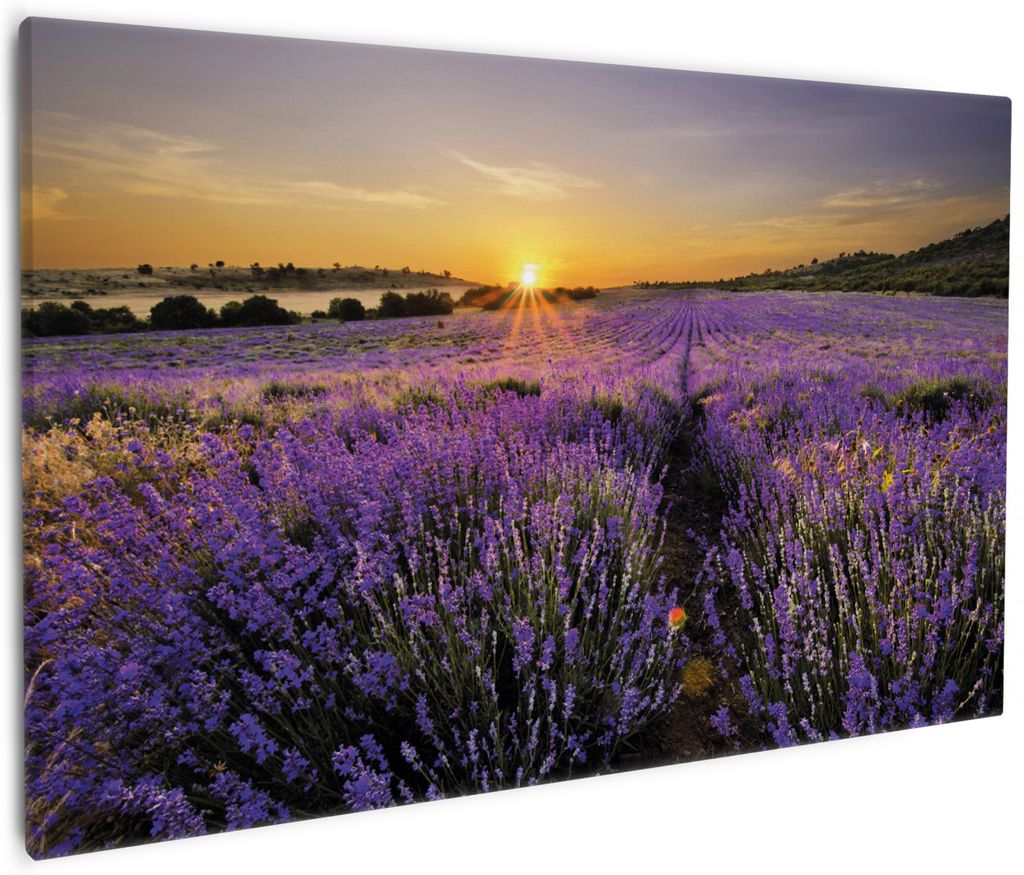 Wallario Premium Leinwandbild Sonnenuntergang über dem Produktbild 
