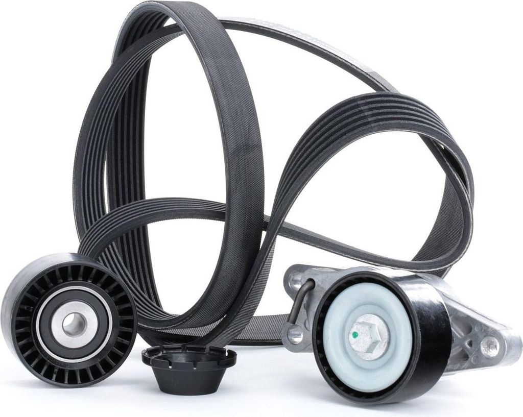 RIDEX 542R0251 Keilrippenriemensatz passend für PEUGEOT 206 Schrägheck (2A/C)