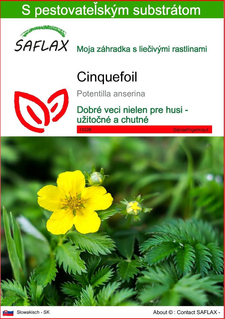 SAFLAX - cinquefoil - Potentilla anserina - 20 Semená - S Obrázok produktu 