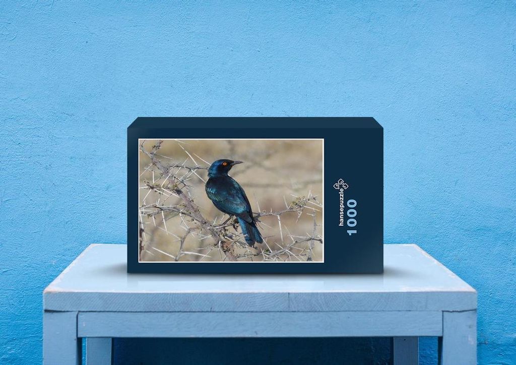hansepuzzle 79916 - Vogel Puzzle, 1000 Teile, Tierwelt, 60,0 x 46,0cm mit hochwertiger Aufbewahrung, Kartonbox und wiederverschließbarem Beutel