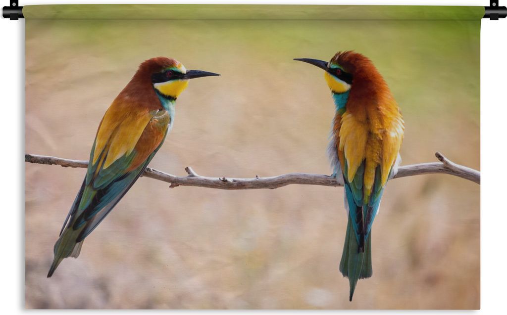 MuchoWow Wandteppich Wandbehang Vögel - Bienenfresser - Tiere 150x100 cm Tapisserie Dekoration Wandtuch - Waschbar - Tapisserien - Wand-Decke