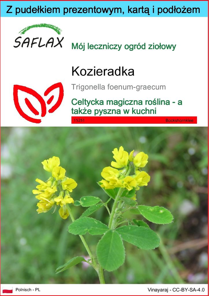 SAFLAX - Zestaw prezentowy - kozieradka - 100 Nasiona - Z Zdjęcie produktu 