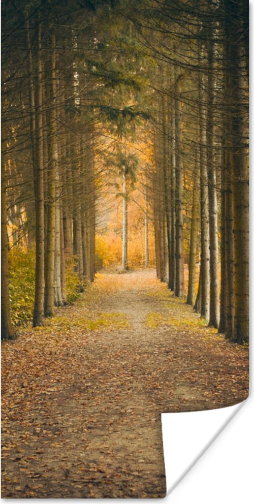 MuchoWow Poster Pfad - Bäume - Wald 40x80 cm - Dekoration