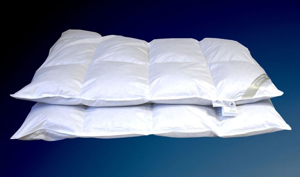 2 Stück Betten Hofmann 8cm Winter Hochsteg Daunenbetten Daunendecken 4x6 155x220 1450g