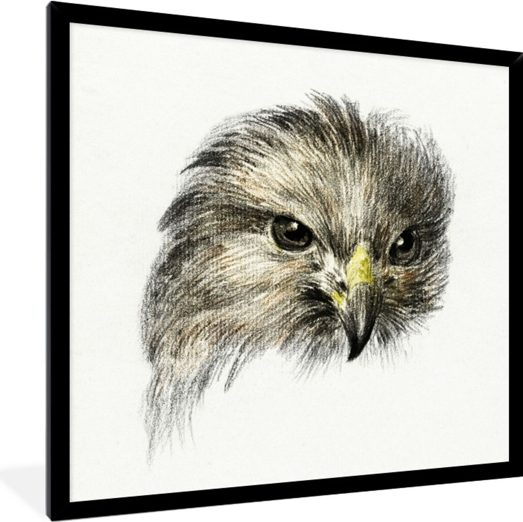 MuchoWow MuchoWow Gerahmtes Poster Kopf eines Raubvogels - Gemälde von Jean Bernard 40x40 cm - Poster mit zchwarzem Bilderrahmen - Mit Rahmen ...