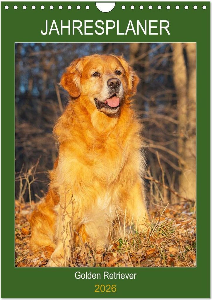 Jahresplaner Golden Retriever (Wandkalender 2026 DIN A4 hoch), CALVENDO Monatskalender