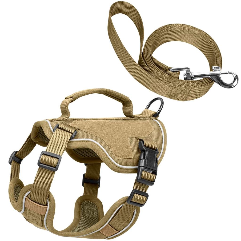 Kleiner Hundegeschirr mit Leine, verstellbar und rutschfest, aus weichem Netzstoff, ideal für Spaziergänge und Training, für Welpen, 3 Größen,...
