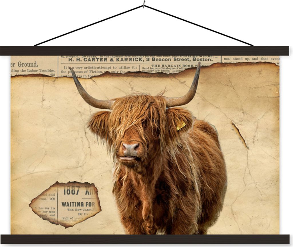 MuchoWow Textilposter Schottisches Hochlandrind - Retro - Zeitungsartikel 90x60 cm mit schwarzem Rahmen - Aufhängungssatz