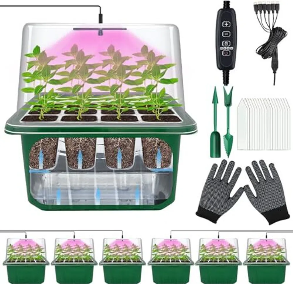 Veekay Kit Mini Serra 6 Pezzi - Design Elegante per Germinazione Casa