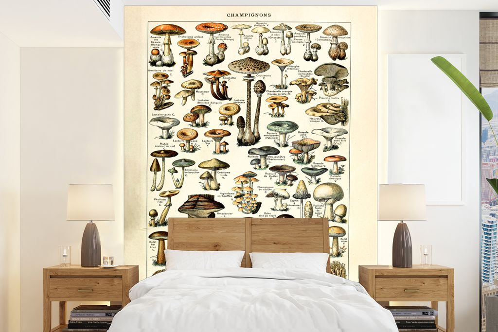 MuchoWow Fototapete für Wohnzimmer oder Schlafzimmer Wandtapete Vinyl Motivtapete Pilz - Herbst - Jahreszeiten - Vintage - Adolphe Millot - Natu...