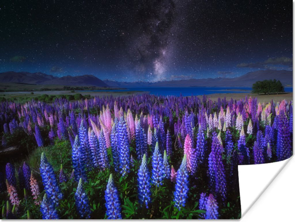 MuchoWow Poster Blumen - Nacht - Lupine - Sternenhimmel - Lila - Natur 160x120 cm - Foto Plakat