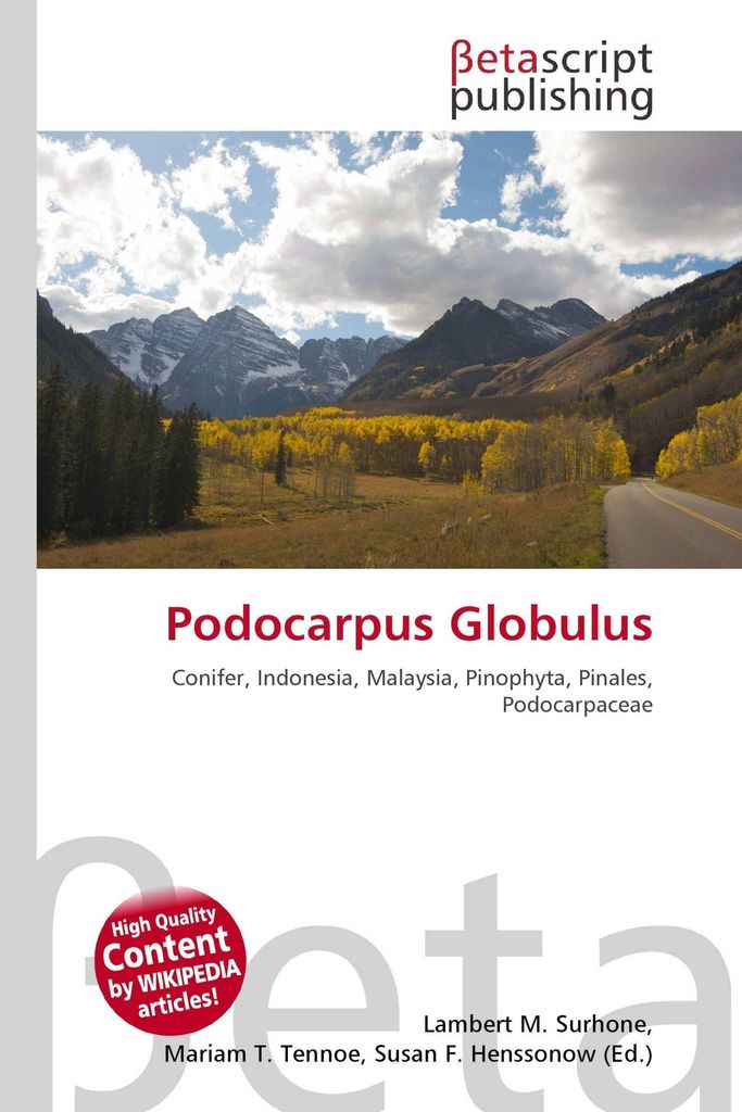 Podocarpus Globulus