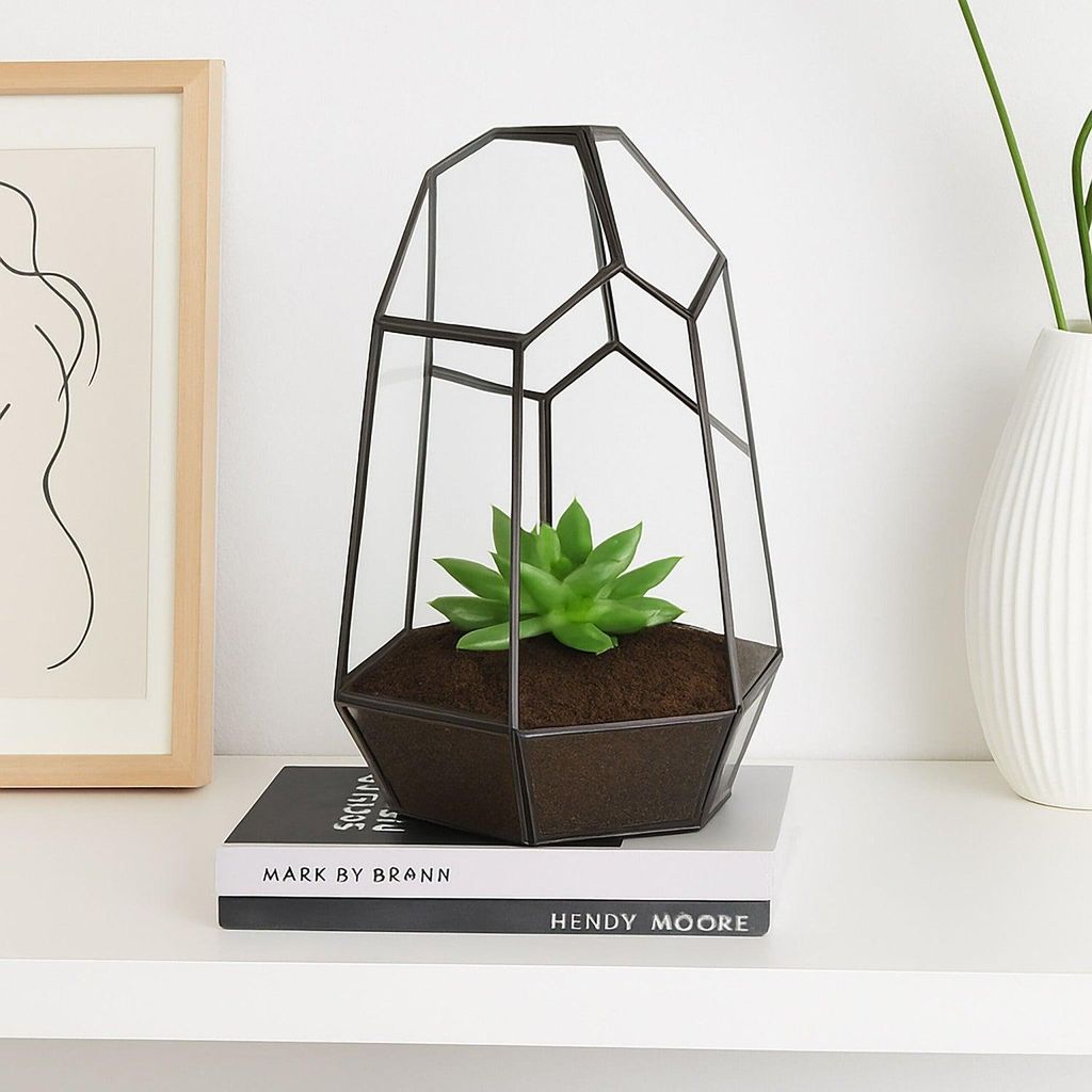 Geometrisches Glas-Terrarium für Sukkulenten, 25 cm