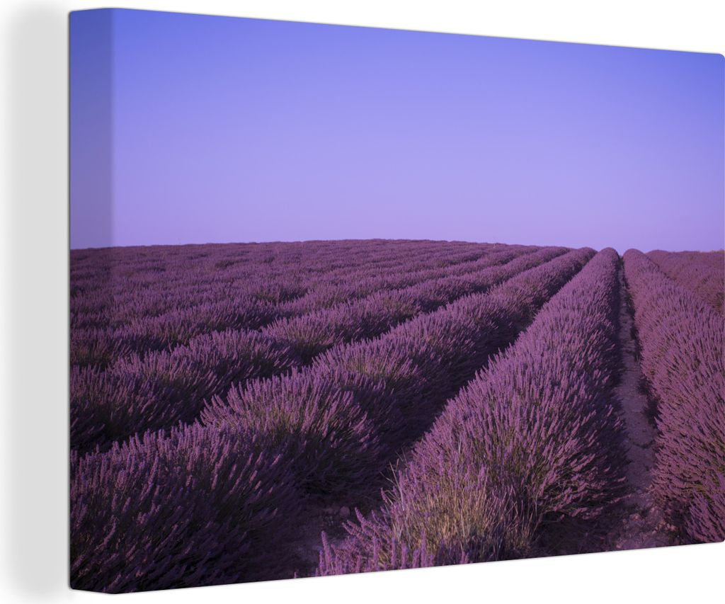 OneMillionCanvasses - Leinwandbilder - 150x100 cm, Ein blühendes Lavendelfeld in der Region Valensole, Südfrankreich, an einem heißen Sommerta...