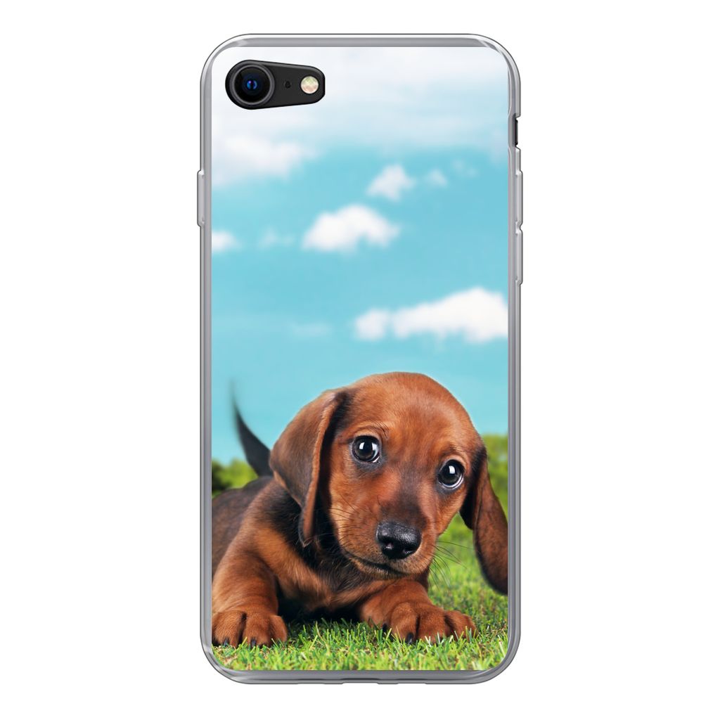 MuchoWow Handyhülle Schutzhülle Hülle für iPhone 7 Schöner Himmel über einem niedlichen Dackelwelpen Silikon Softcase Handy Hülle - Karten...